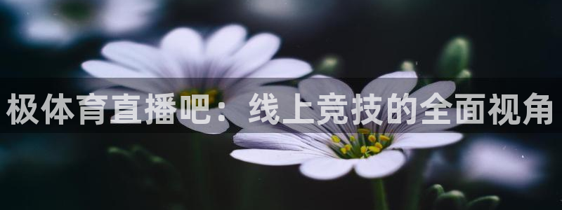 乐球直播免费进入：极体育直播吧：线上竞技的全面视角