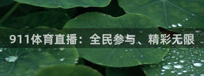乐球直播免费看球赛：911体育直播：全民参与、精彩无限