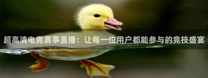 乐球吧jrs直播吧：超高清电竞赛事直播：让每一位用户都能参与的竞技盛宴