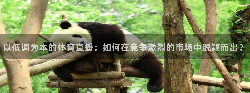 乐球直播ios正版下载入口：以低调为本的体育直播：如何在竞争激烈的市场中脱颖而出？