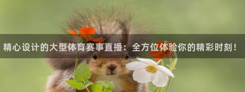 乐球直播免费体育直播主页：精心设计的大型体育赛事直播：全方位体验你的精彩时刻！