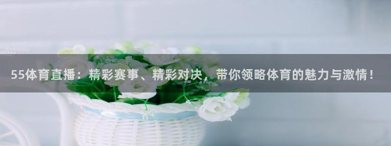 乐球直播nba在线直播：55体育直播：精彩赛事、精彩对决，带你领略体育的魅力与激情！